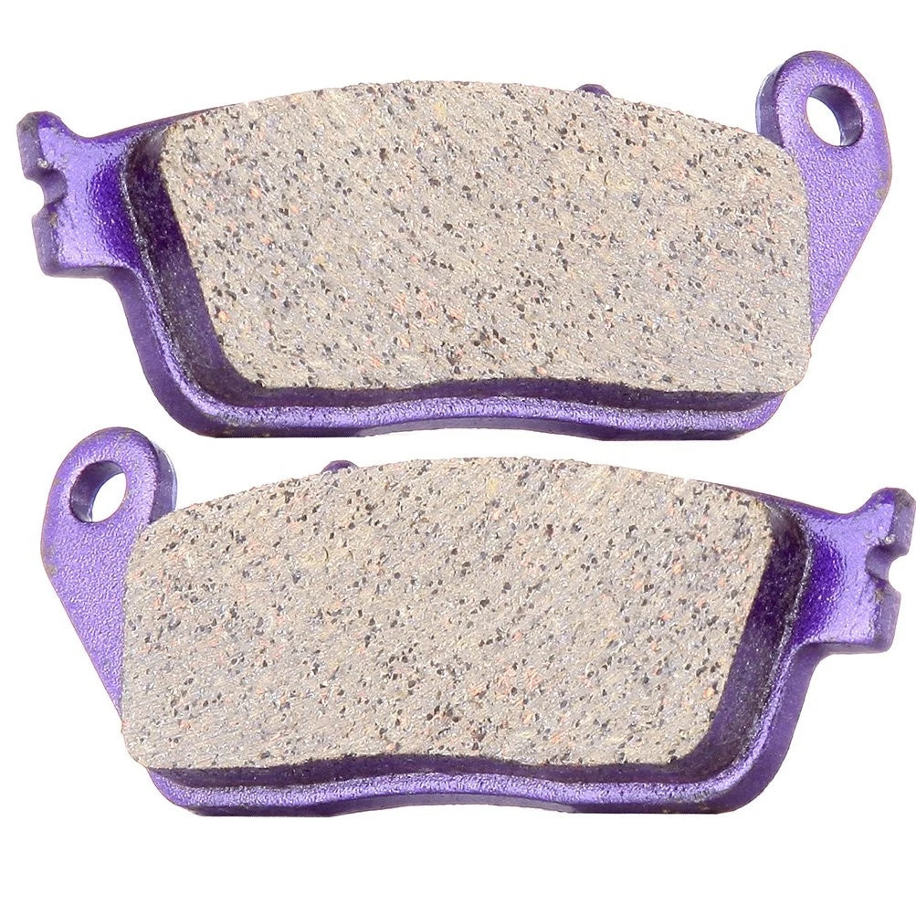 Rear Carbon Fiber Brake Pads for Triumph Thunderbird Sport (1998–2003) FA196