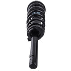 Front Struts w/ Springs Assembly for Honda Accord (1998–2002) Acura TL (1999–2003)
