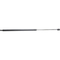 Lift Support for Buick Enclave (2008–2012)