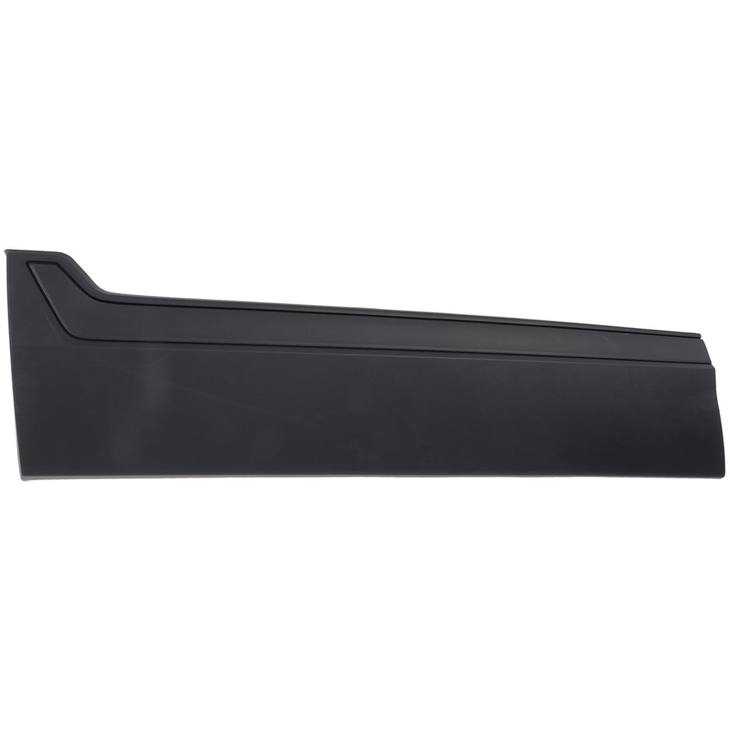 Set of 2 Door Molding for Front Driver & Passenger Side
