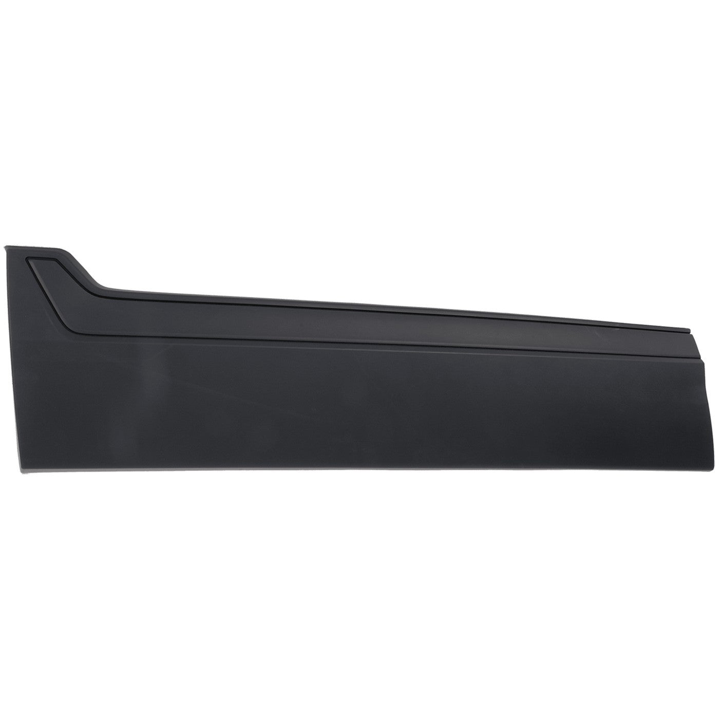 Set of 2 Door Molding for Front Driver & Passenger Side