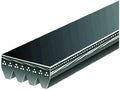 Power Steering Multi Rib Belt for Mazda 6 (2009–2013) M328RQ