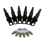 Set of 6 Ignition Coils & Spark Plugs for BMW E46 E83 (2001–2006)