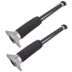 2X Rear Shock Absorbers Struts for Tesla Model 3 (2017–2021)