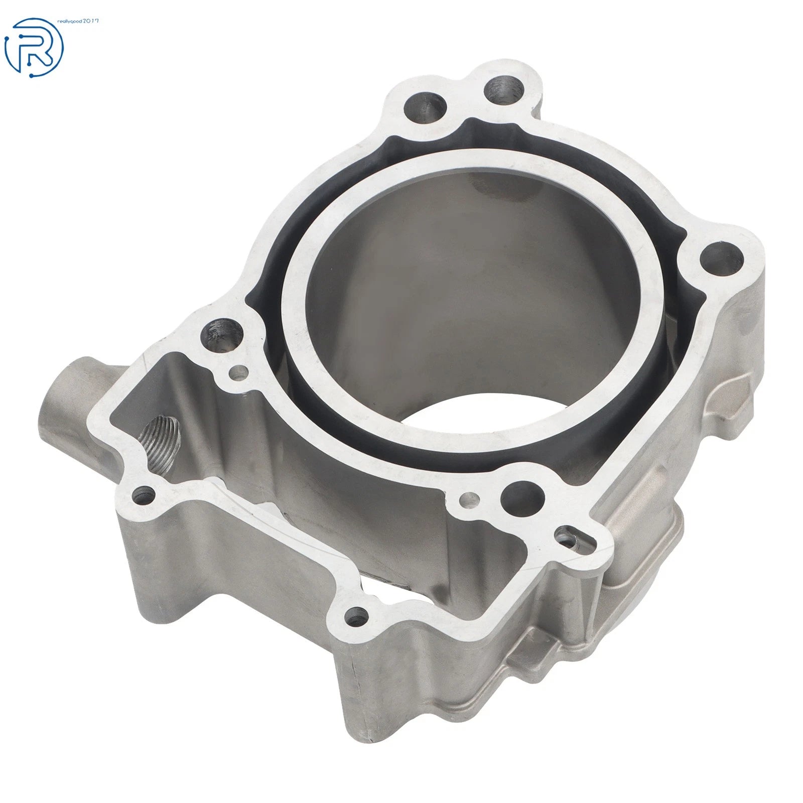 Overhaul Kit for Polaris RZR570 (2009-2014)