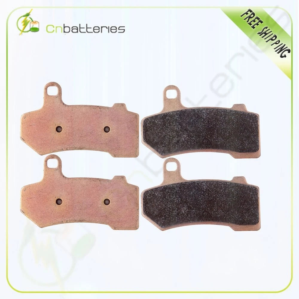 Sintered Rear Brake Pads for Harley-Davidson Classic EFI FLHTCI (2002–2009)