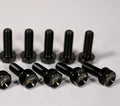 10X Titanium Beadlock Bolts for TRX450R, Raptor 700, Banshee, YFZ450