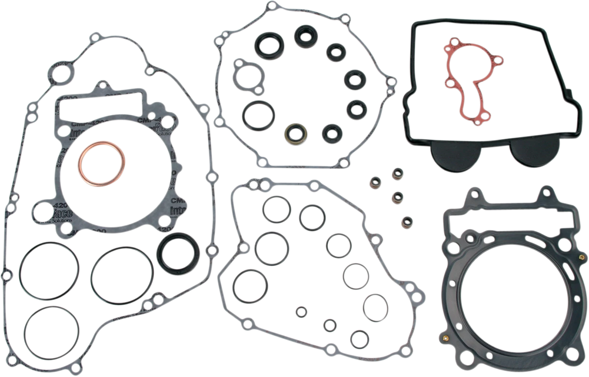 Motor Gasket Kit with Oil Seal for Kawasaki (811482mse)