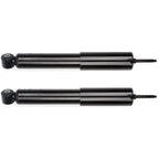 Pair of Struts for Ford F-150 (1985–1996)