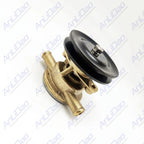 2Pcs Sea Water Pump for Yanmar Johnson (128377-42500, 10-24509-01, 10-13337-01)