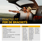 2X 20 Inch Gas Struts for Motorhome Door RV Bed Storage Boat Hatch