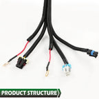 Standalone Wiring Harness for DBC LS1 T56 (1997–2006)
