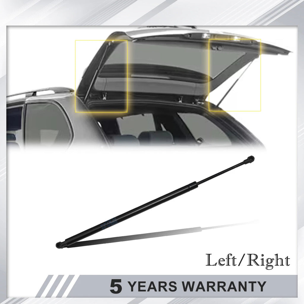 Set of 2 Trunk Lift Supports for BMW X5 (2000–2006)