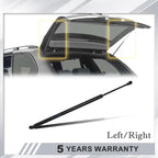 Set of 2 Trunk Lift Supports for BMW X5 (2000–2006)