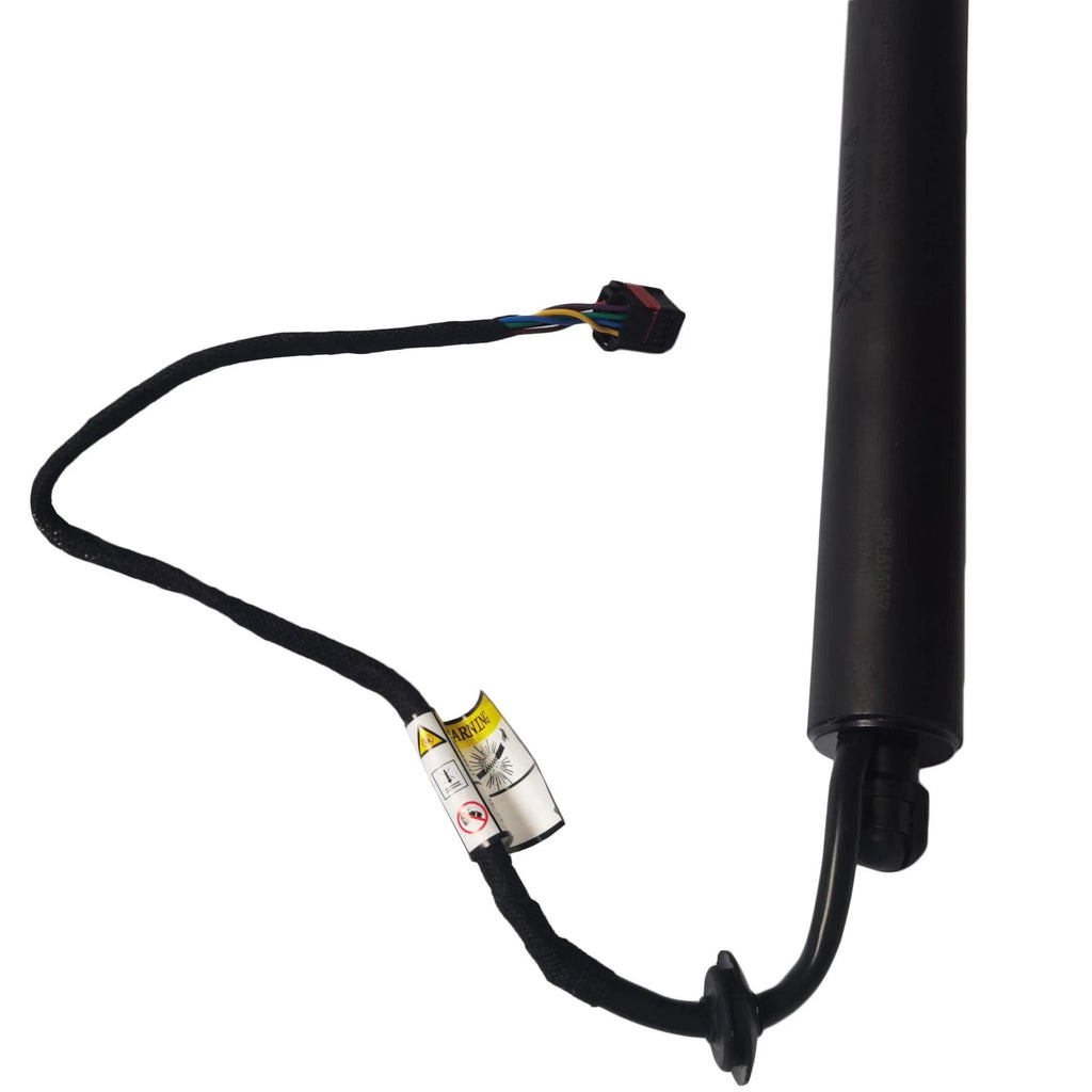 Liftgate Lift Supports for Jaguar F-Pace (2017–2019)