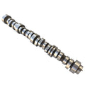 Camshaft for Chevrolet Camaro Cadillac Escalade GMC Yukon 