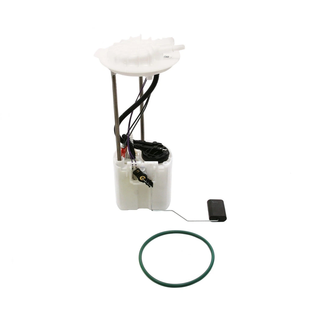 Delphi FG0889 Fuel Pump Module Assembly for Dodge Ram 1500 (2009–2010)