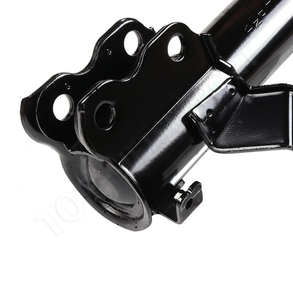 Front Pair Suspension Struts for Nissan Maxima (1995–1999)