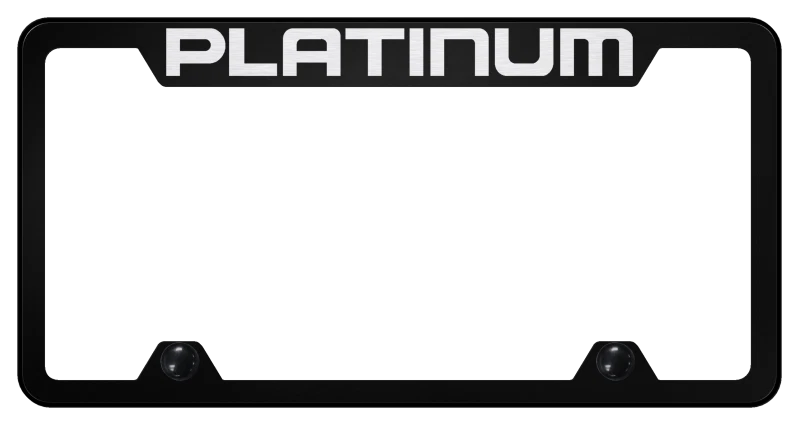 License Plate Frame OEM Replacement for Ford F150 Platinum Black (2015–2024)