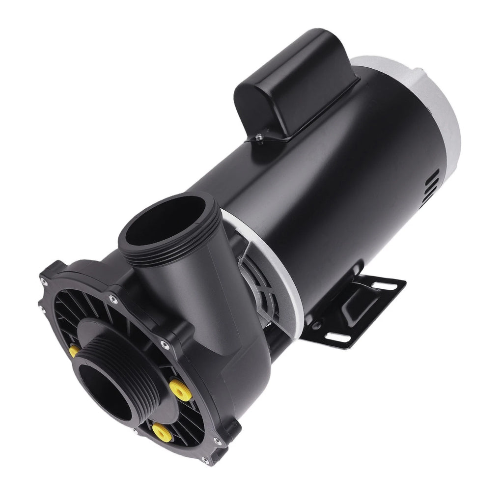 Dual-Speed Spa Pump Motor for Spa (230V, 56 Frame)