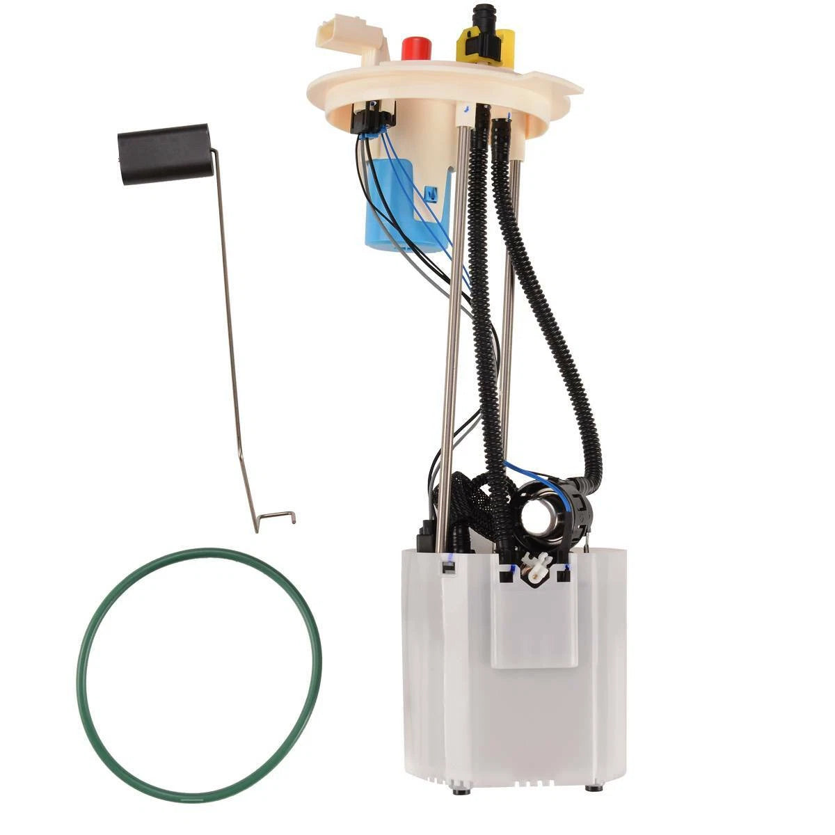 Rear Tank Fuel Pump Module Assembly for Ford F-150 (2010–2019)