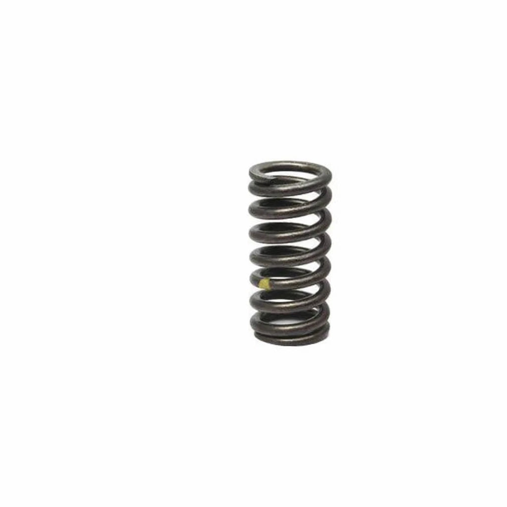 Engine Valve Spring for VW Jetta, Beetle, Passat, Golf (2006–2018) 06E109623AB
