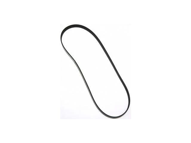 Accessory Drive Multi Rib Belt for Mazda Tribute (2001–2004) PM769FB