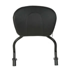 Detachable Sissy Bar Backrest Pad for Harley FLRT Freewheeler (2015–2025)