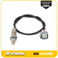 Oxygen Sensor for Honda Accord 1998–2000