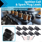 Ignition Coils & Plug Leads for Holden VF Commodore LS3 (2013–2017) 12570616