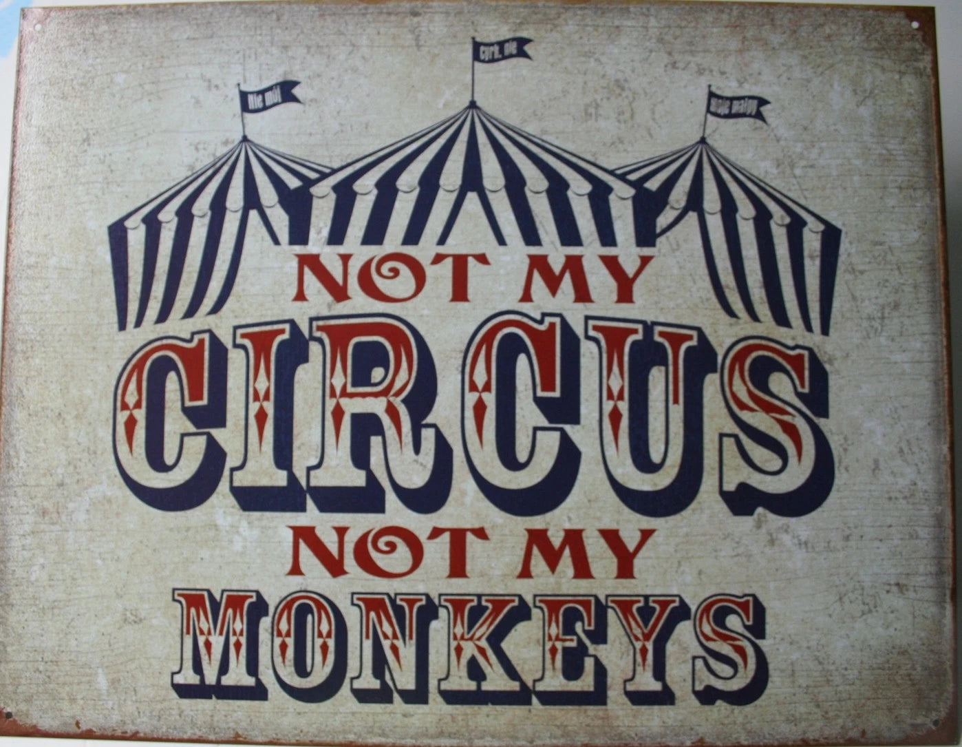 Tin Metal Sign for Home Decor (2213)