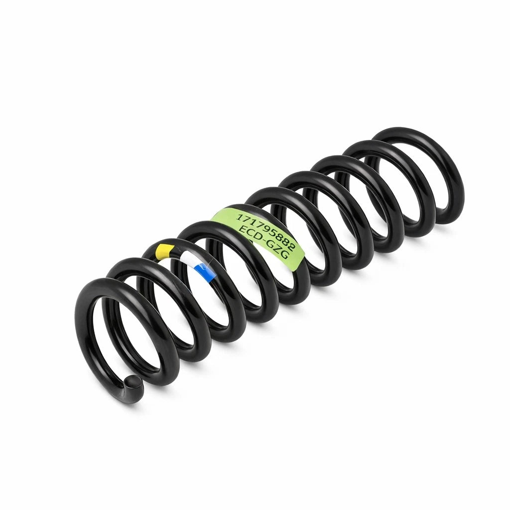 Genuine OEM Rear Coil Spring for Mercedes-Benz E320 E350 E500 E550 (2003–2009) 2113240204