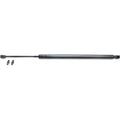 Lift Support for Chrysler PT Cruiser (2001–2008)