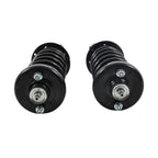 Rear Complete Struts Shocks w/ Spring & Mount for Honda Accord (2013–2017)