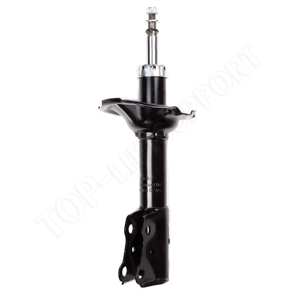 Set of 4 Suspension Struts for Toyota Echo (2000–2005)
