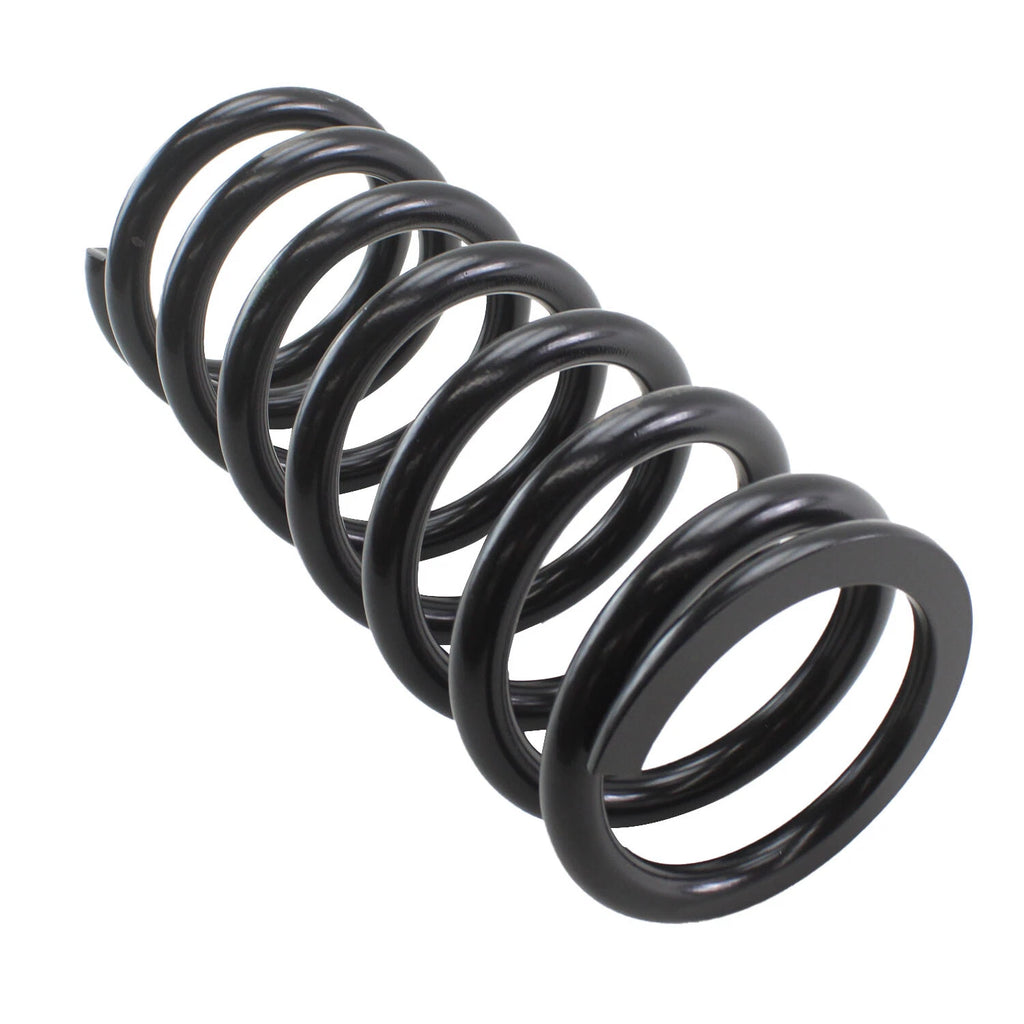 Lesjofors Heavy Duty Coil Spring Rear for 4256815