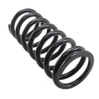 Lesjofors Heavy Duty Coil Spring Rear for 4256815