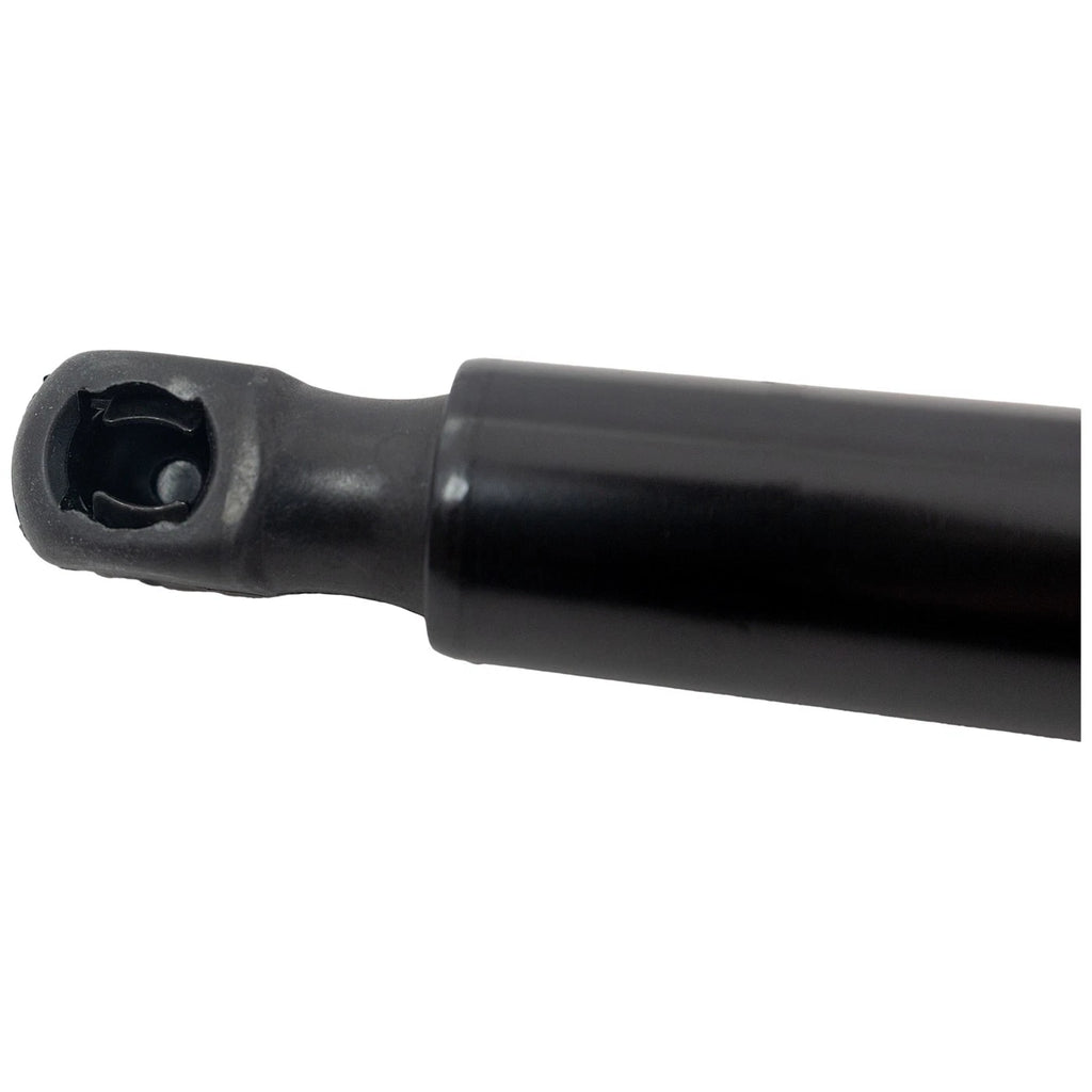 Liftgate Lift Supports for Toyota RAV4
