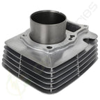 Engine Cylinder for Honda Recon 250 TRX250 (2002–2004) 12100-HN6-000