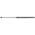 Set of 2 Hood Lift Supports for ES300h