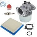Carburetor for Briggs Stratton (497586, 799868, 499059, 498170, 498254, 497347, 497314)