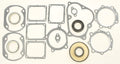 Complete Engine Gasket Kit for Yamaha RS Vector (2005–2008)