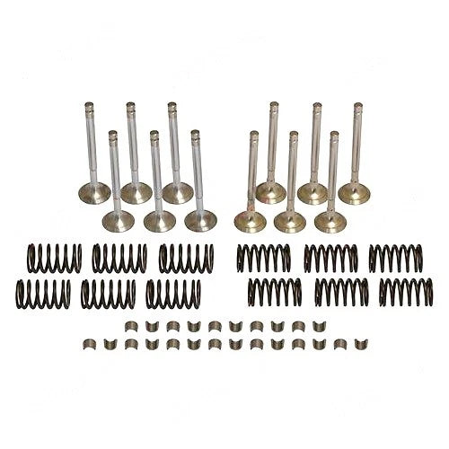 Valve Train Kit for Custodia David Brown 1594 1690 1694 Tractors
