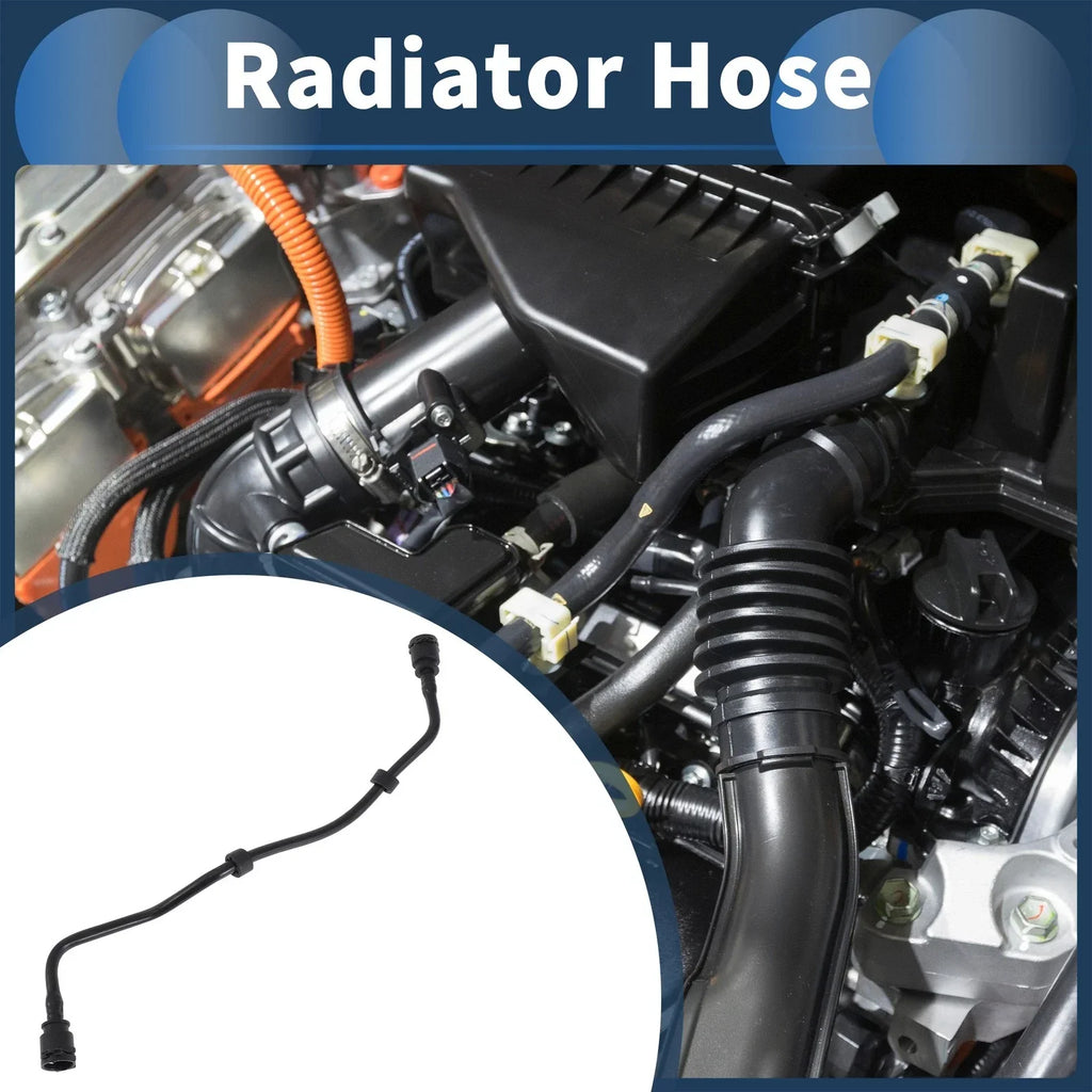 Radiator Hose 4.4L for BMW M550i xDrive (2018-2019)