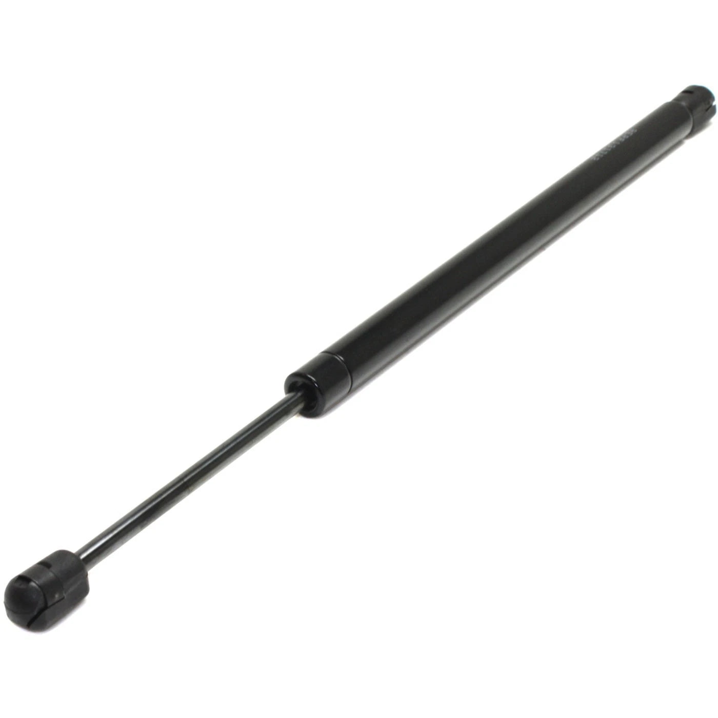 Lift Support Set for Ford Focus (2000–2007) Driver & Passenger Side