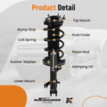 Set of 4 Struts w/ Coil Spring Assembly for Honda CR-V (2012–2014)