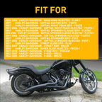 Fuel Regulator EXV 62373-01 for Harley-Davidson Night Rod Street Rod (2006–2008)