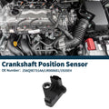 Crankshaft Position Sensor for Ford Fiesta 1.6 TDCi (2004–2008) 2S6Q9E731AA