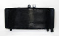Radiator Grille Guard for Honda CB900 CB919F Hornet900 (2002–2007) Black
