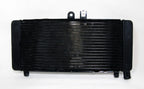 Radiator Grille Guard for Honda CB900 CB919F Hornet900 (2002–2007) Black